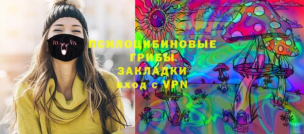 хмурый Алексеевка
