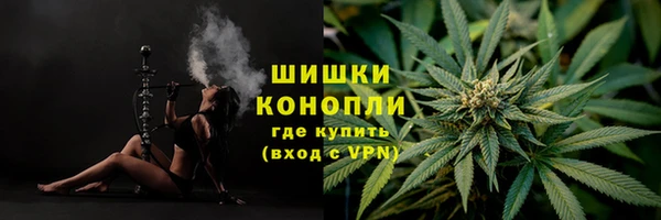 шишки Алексин