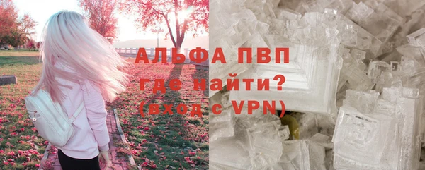 шишки Алексин